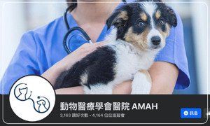 動物醫療學會醫院 AMAH 