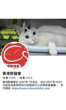 香港群貓會