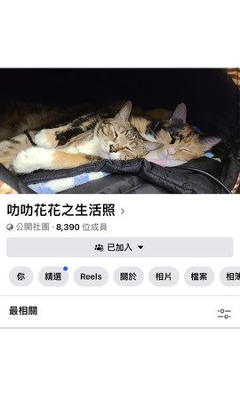 叻叻花花之生活照