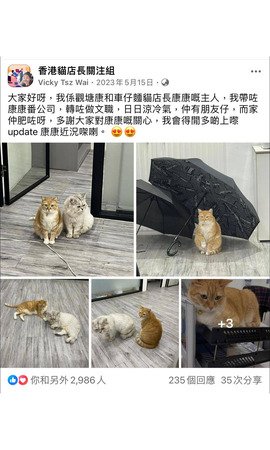 康和車仔麵貓店長康康