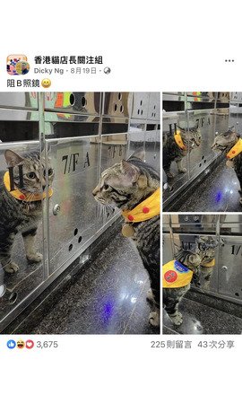 阻B照鏡。