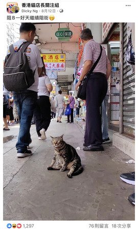 阻B一好天繼續阻街