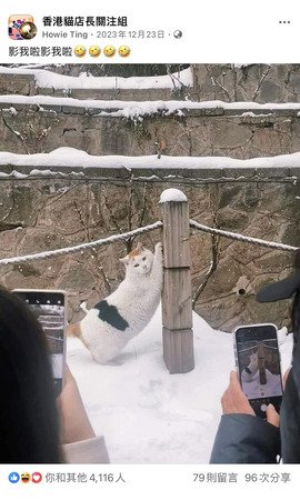 影我啦影我啦
