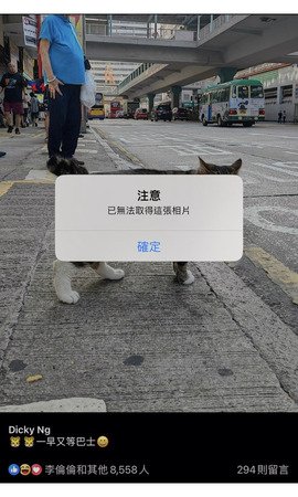 虎虎一早又等巴士