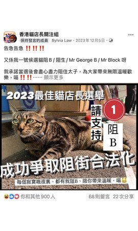 告急告急！