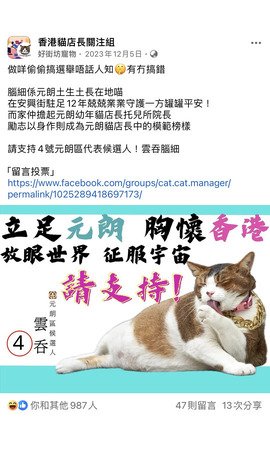 做咩偷偷搞選舉唔話人知