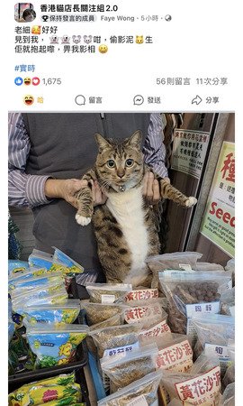 老細好好！