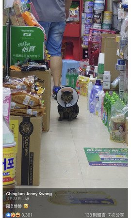 阻B慘慘。