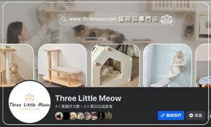 Three Little Meow 
