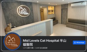 半山貓醫院 Mid Levels Cat Hospital