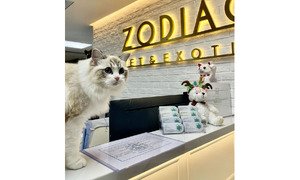 星寵動物醫院醫生好好人同好專業